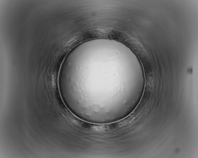 X0000098120131200804181531