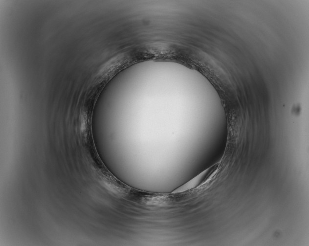 X0000098120132200804181531