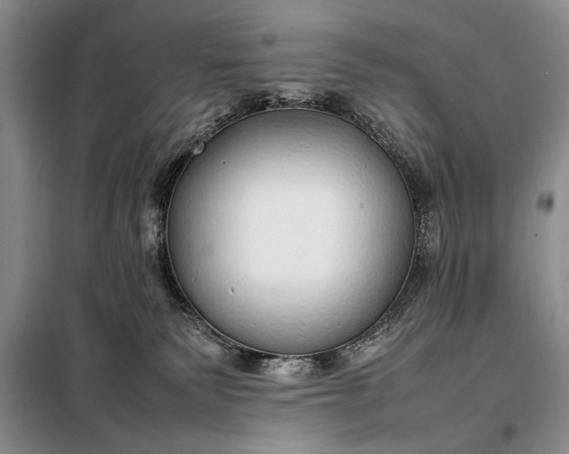 X0000098120135200804181531