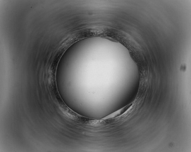 X0000098120136200804181531