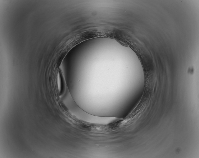 X0000098120137200804181531