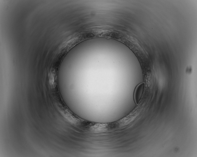 X0000098120138200804181531