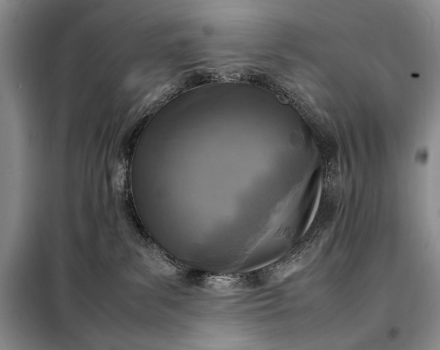 X0000098120139200804181531