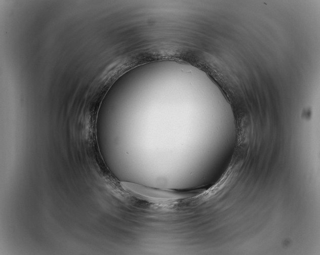 X0000098120140200804181531