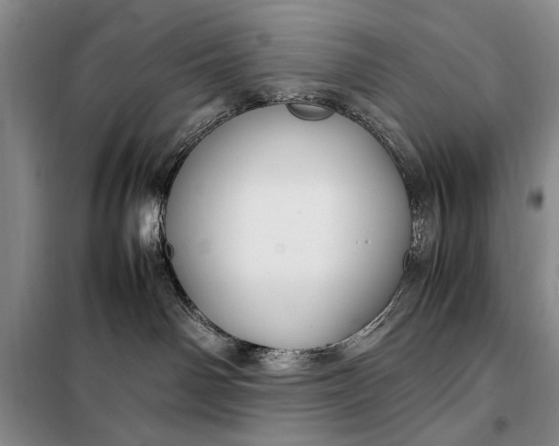 X0000098120142200804181530