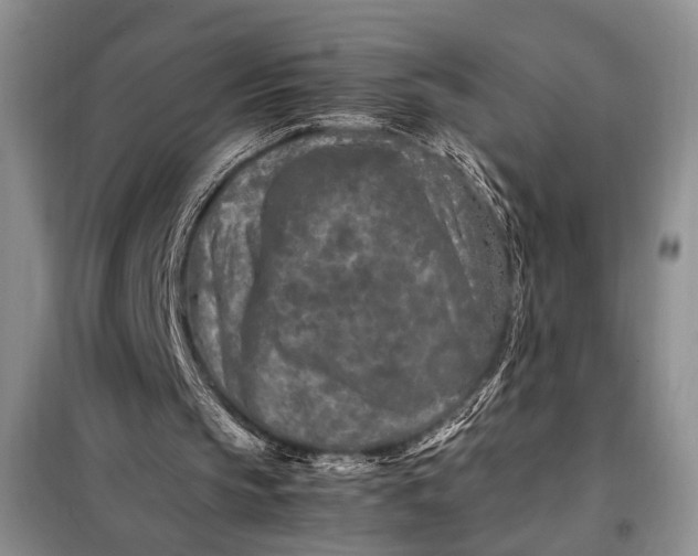 X0000098120145200804181530