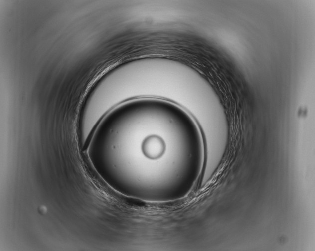 X0000098120146200804181530