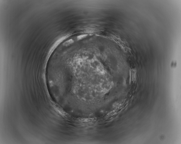 X0000098120147200804181530