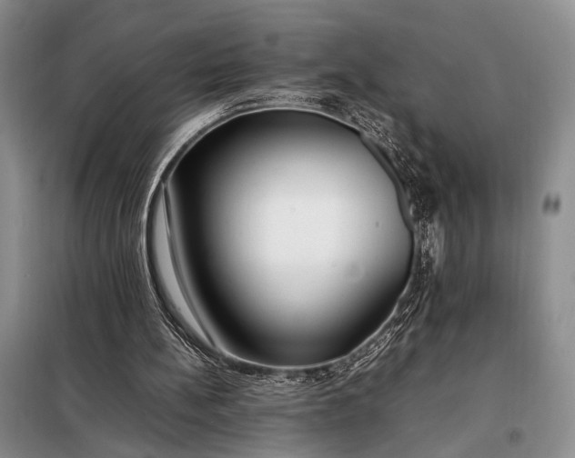 X0000098120148200804181530