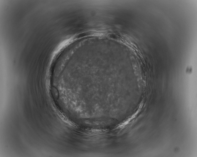 X0000098120149200804181530