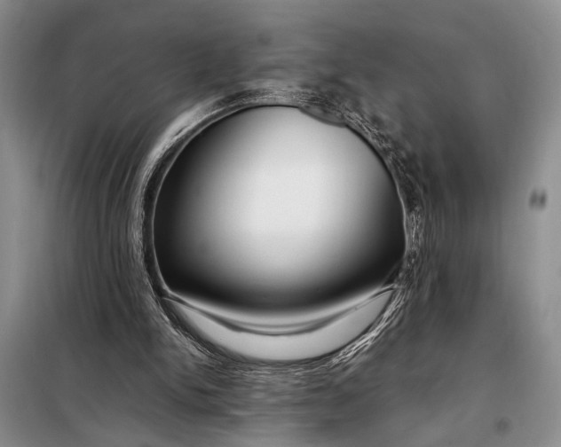 X0000098120150200804181530