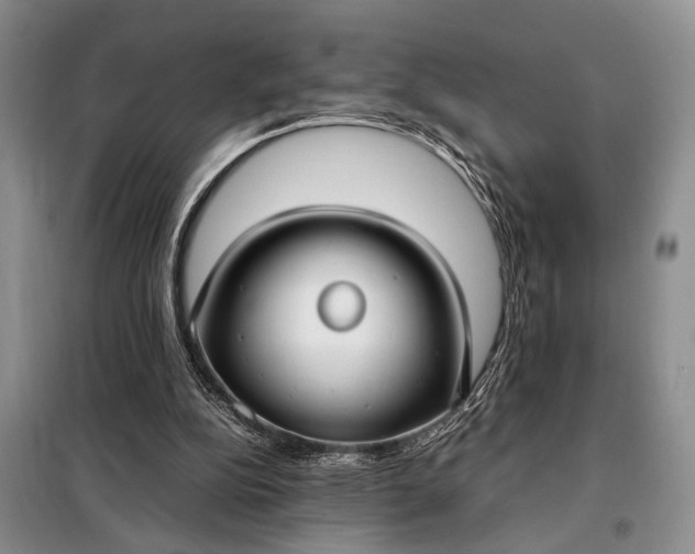 X0000098120152200804181530