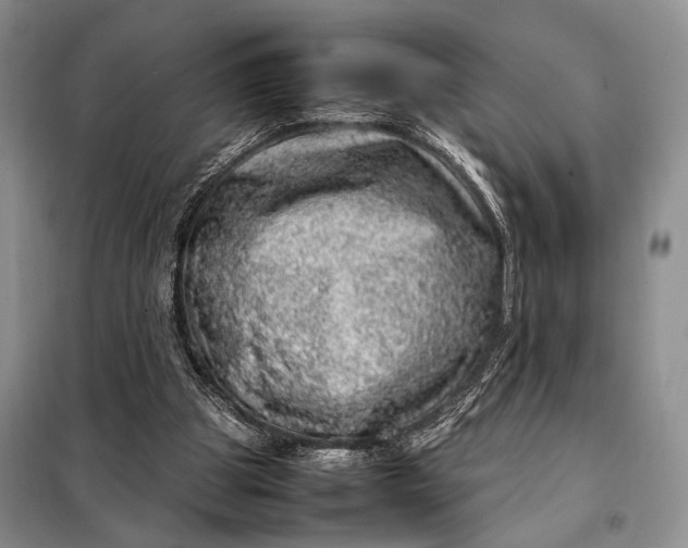 X0000098120153200804181530
