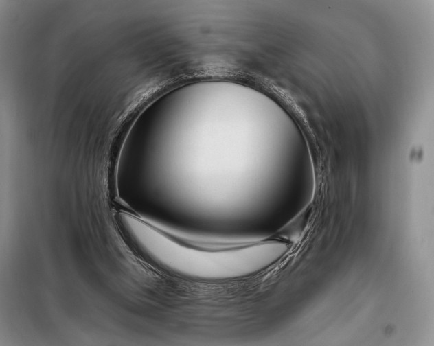 X0000098120154200804181530