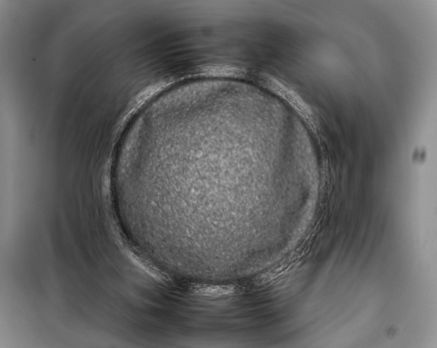 X0000098120155200804181530
