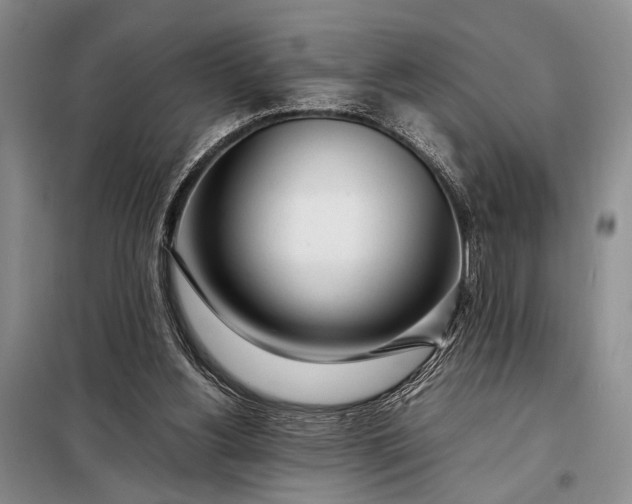 X0000098120156200804181530