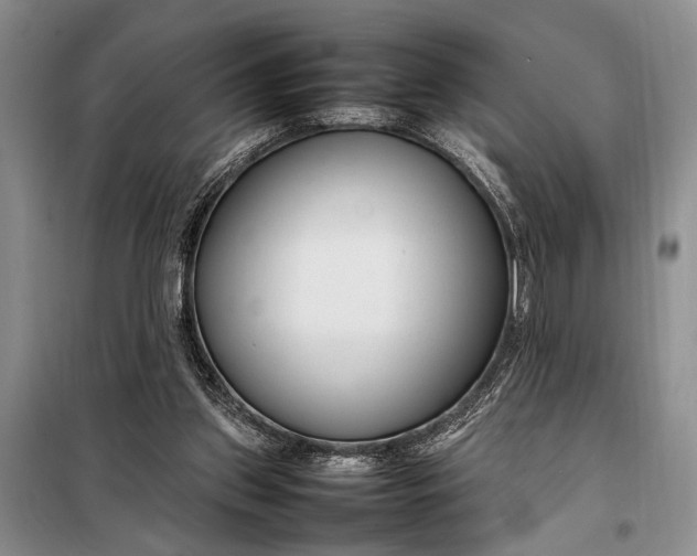 X0000098120157200804181530