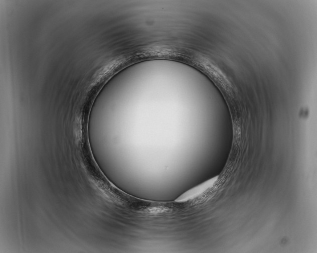 X0000098120158200804181530