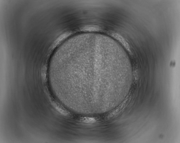 X0000098120159200804181530