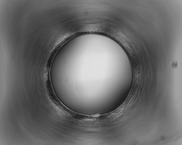 X0000098120160200804181530