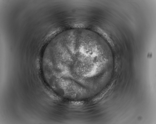 X0000098120161200804181530