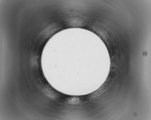 X0000098120162200804181530