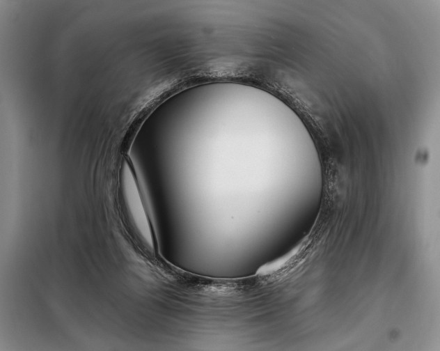 X0000098120164200804181530