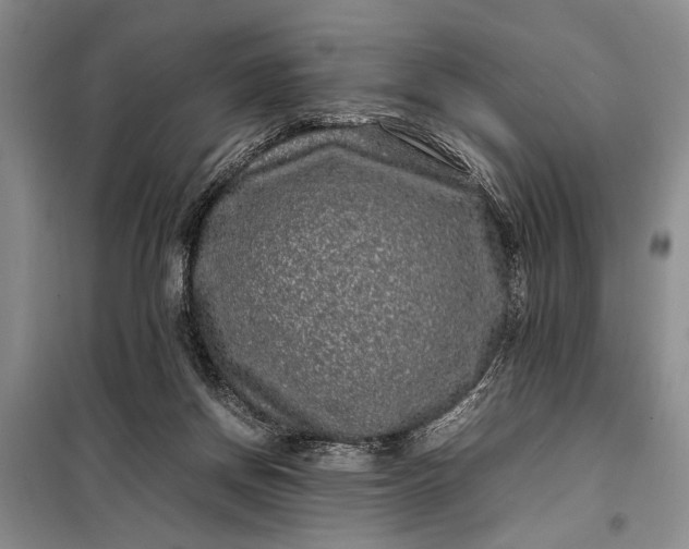 X0000098120166200804181530