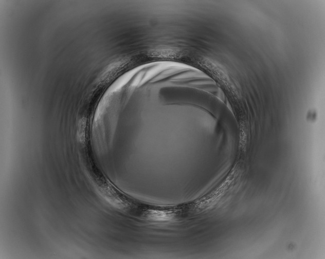 X0000098120167200804181530