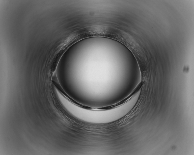 X0000098120168200804181530