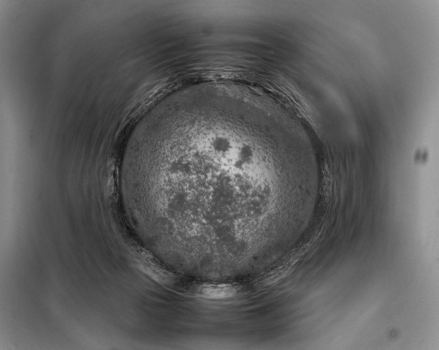 X0000098120169200804181530