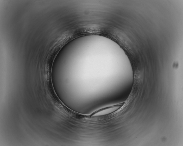 X0000098120170200804181530