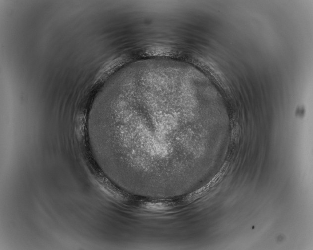 X0000098120171200804181530