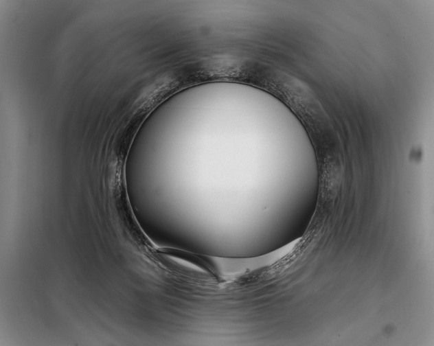 X0000098120172200804181530