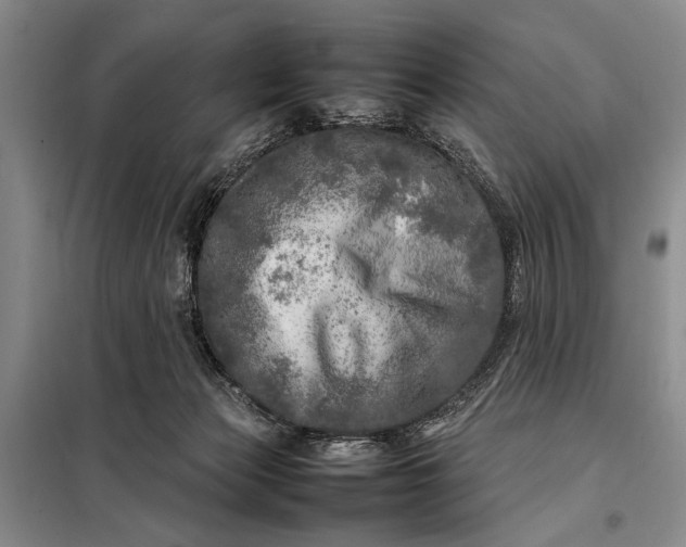 X0000098120173200804181530