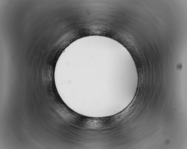 X0000098120174200804181530