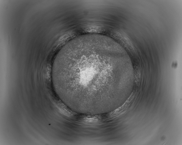 X0000098120175200804181530
