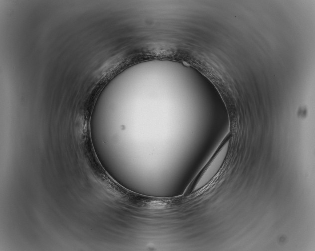 X0000098120176200804181530