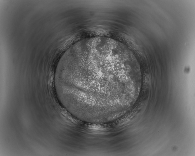 X0000098120177200804181530