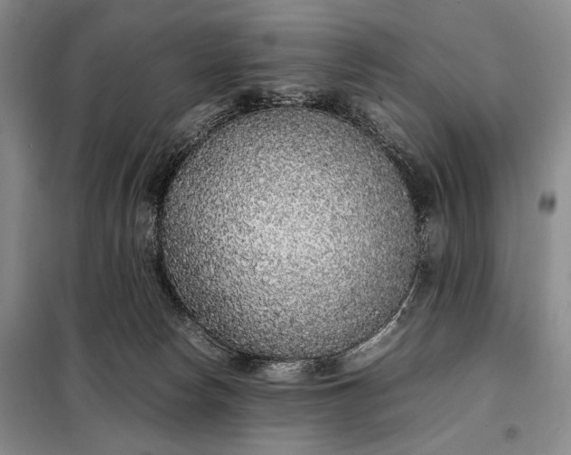 X0000098120178200804181530