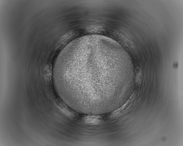 X0000098120179200804181530