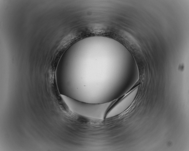 X0000098120180200804181530