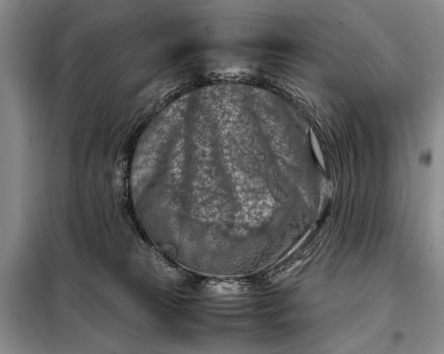 X0000098120181200804181530