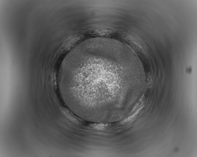 X0000098120182200804181530