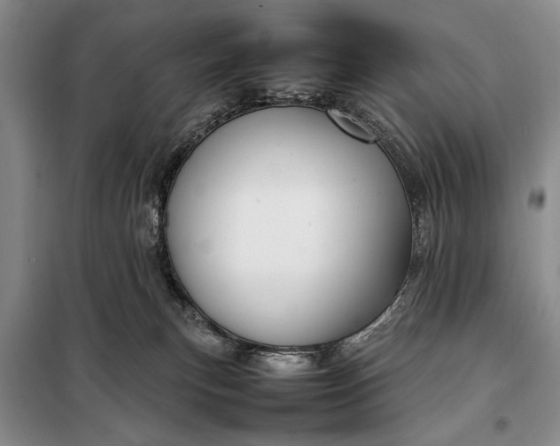 X0000098120183200804181530