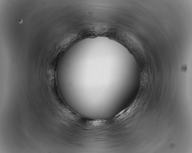 X0000098120184200804181530