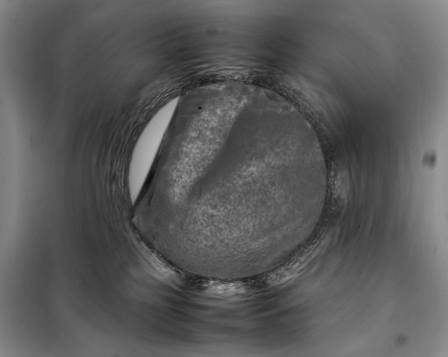 X0000098120185200804181530