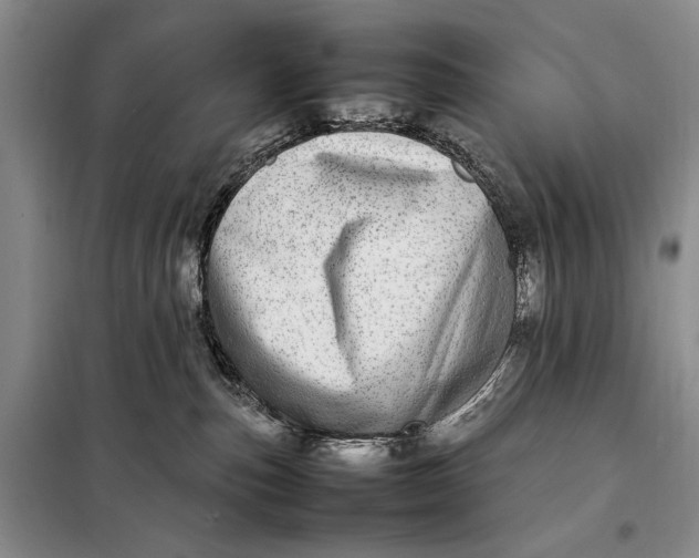 X0000098120187200804181530