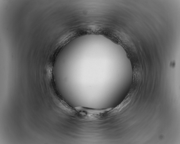 X0000098120188200804181530