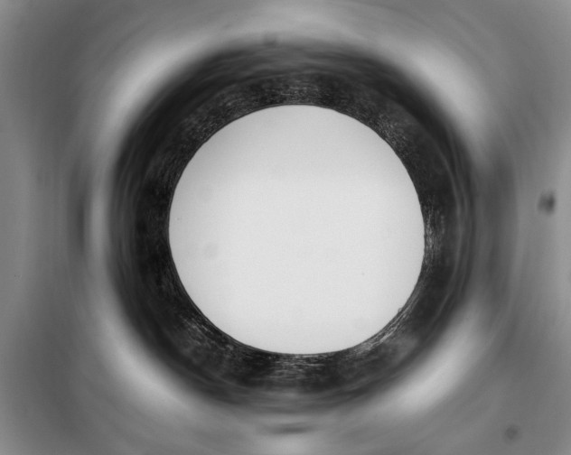 X0000098120190200804181530